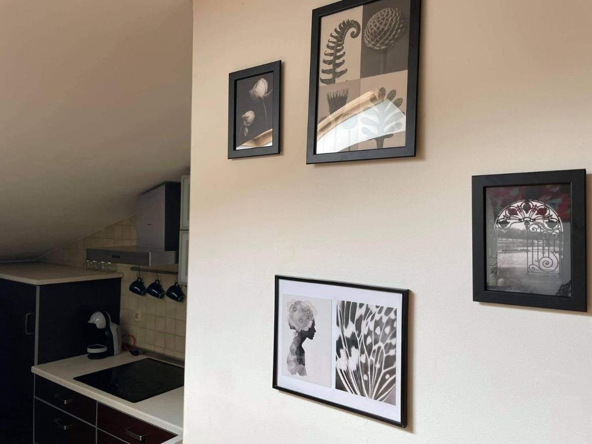 Apartament Studio Nałęczów 外观 照片